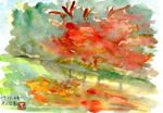 水彩画/丸山公園